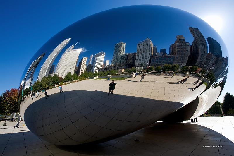 20081030_124438 D3 2x3 P1 srgb.jpg - Cloud Gate provides stunning reflections of the surrounding buidings